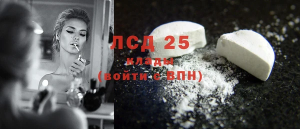 прущие грибы Касимов