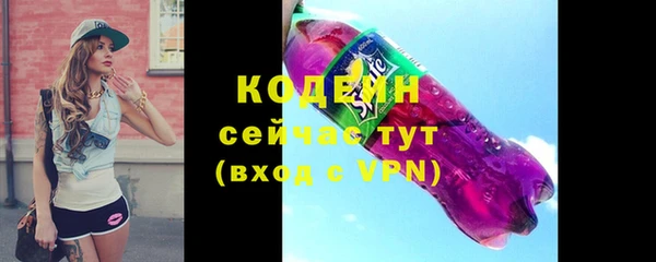 дурь Карпинск