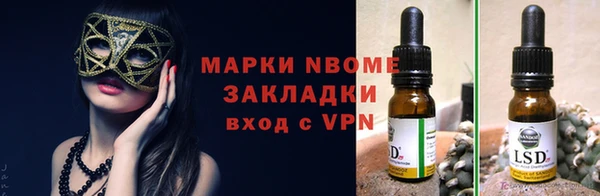 прущие грибы Касимов