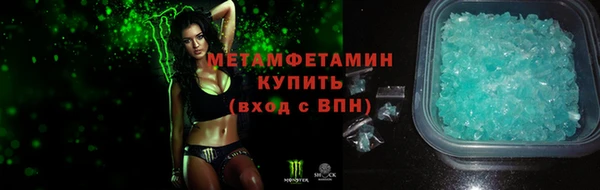 прущие грибы Касимов