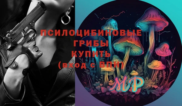 дурь Карталы