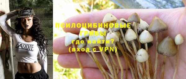 дурь Карпинск
