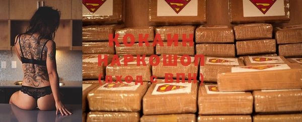 прущие грибы Касимов